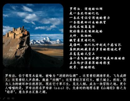 春雨直播app